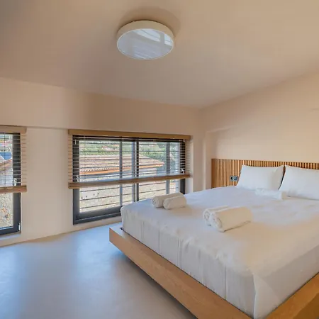 Sithoniars Luxury Three Floor N2 With Private Pool & Garden *