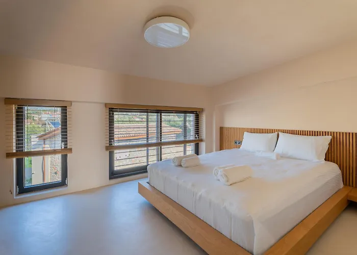 Sithoniars Luxury Three Floor N2 With Private Pool & Garden *